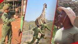 World Rangers Day 2023: Kenya to Celebrate, Honour Unsung Heroes Safeguarding Natural Heritage