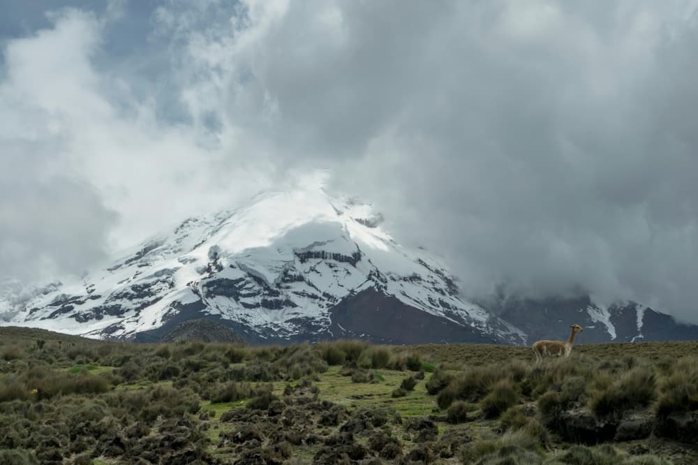 The Chimborazo volcano, the highest peak in Ecuador, is a popular draw for mountaineers, several of whom have died in recent years in avalanches and accidents