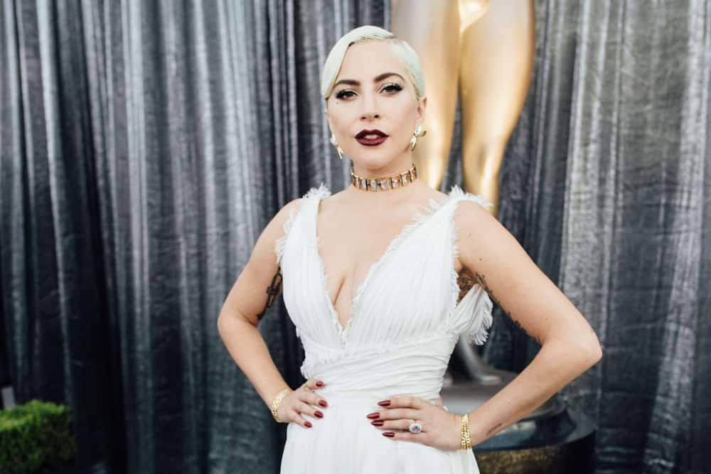 Lady Gaga Net Worth  Celebrity Net Worth