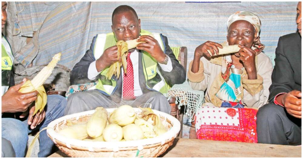 William Ruto's hand in the rise in food price crisis, high cost of living.