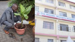 Nairobi Women's Hospital CEO steps aside amidst extortion claims