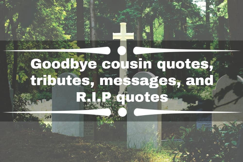 Goodbye cousin quotes
