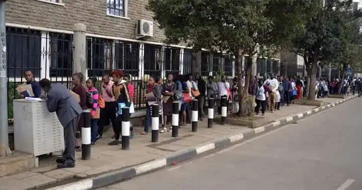 Kenyans applying for a job