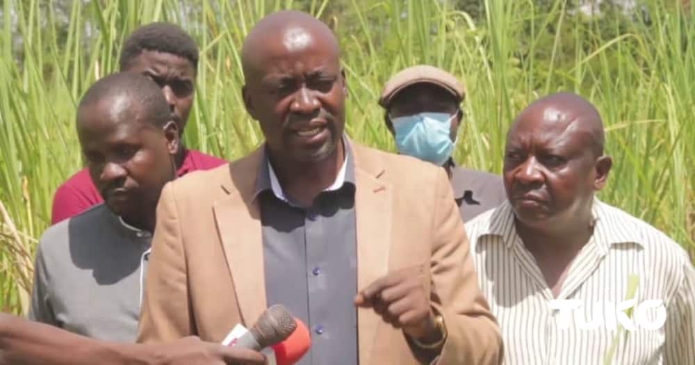 Farmers activists want the Mumias Sugar Company lease agreement made public.