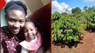 Kirinyaga: Woman Who Drowned with Baby Had Just Been Given Land by Her Father, Planted Trees