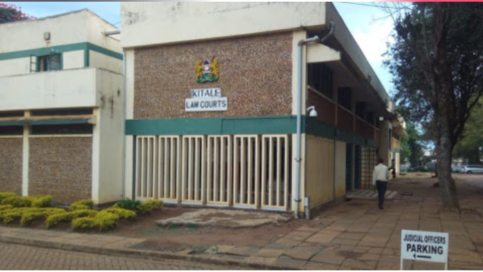 Kitale Man Tells Son Suing Him for Inheritance to Use Skills to Buy Land: "I Educated You"