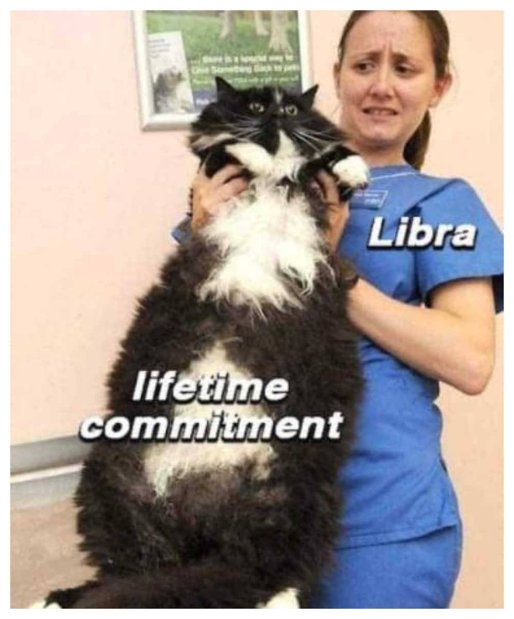 libra memes