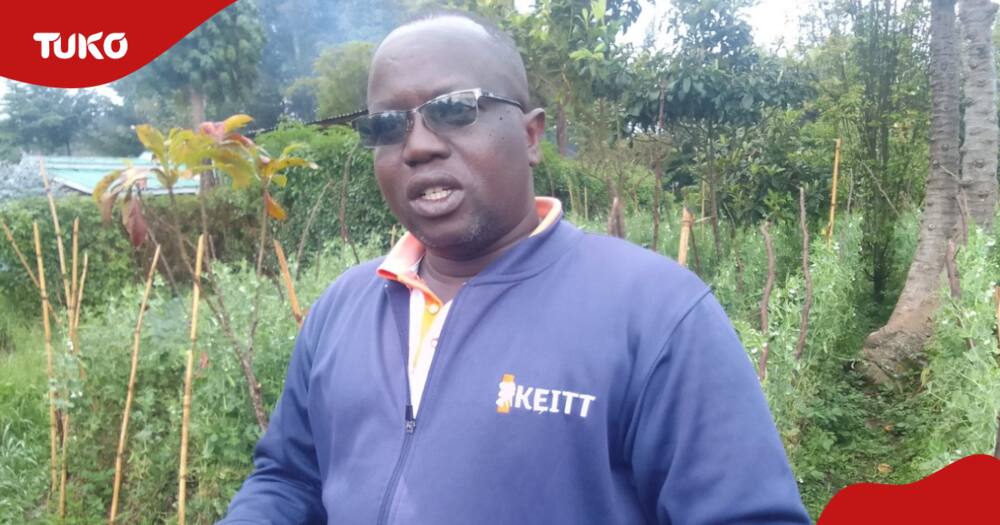 Mt Kenya farmers embrace horticulture farming
