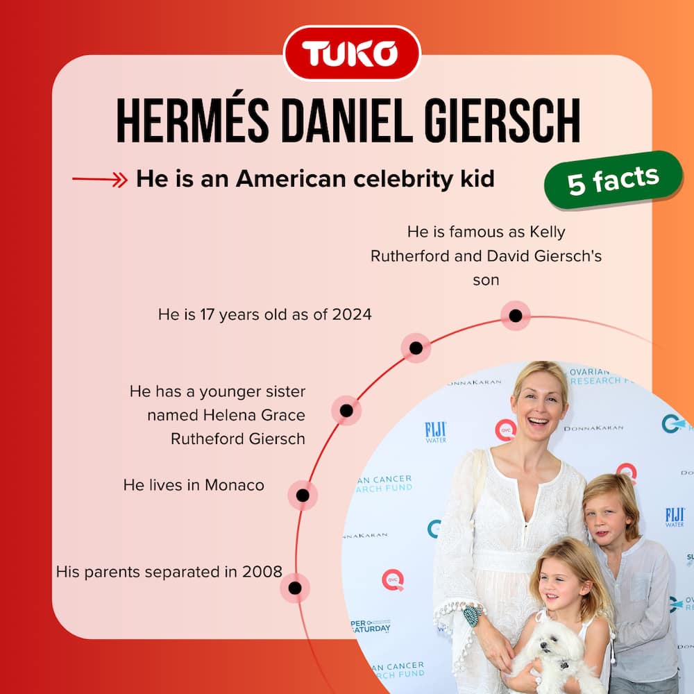 Five facts about Hermés Gustaf Daniel Giersch