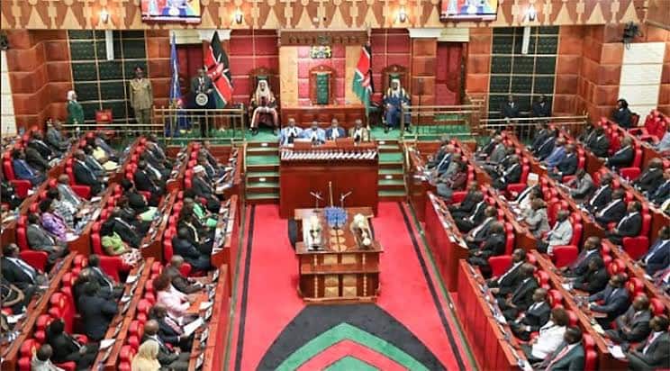 A parliamentary session. Photo: Nationa Assembly.