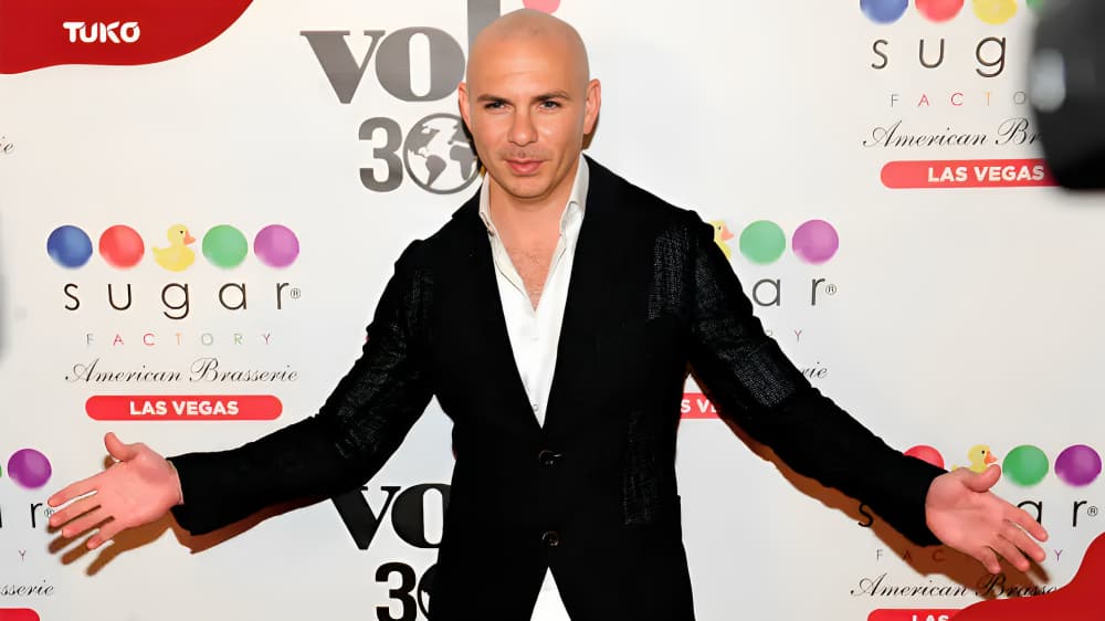 Pitbull Singer Clothing for Sale | Redbubble