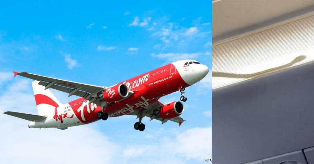 Slithery Stowaway: Air Asia Flight Diverted After Passengers Discover Snake on Board