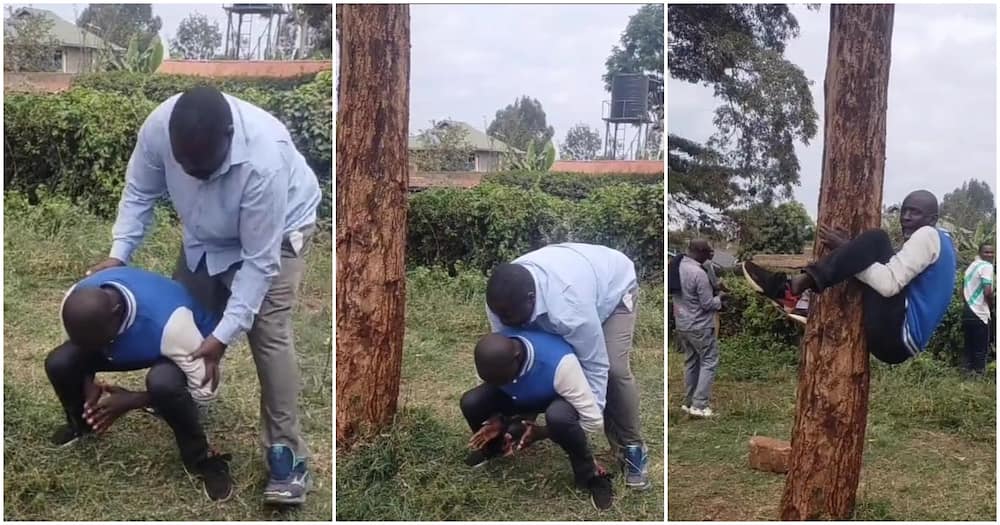 Kenyan TikToker Cracks Ribs Online after Hilariously Leaving Screaming Friend Stuck on Tree.
