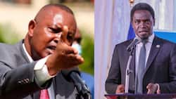 Nelson Havi Asks Kenyans to Arrest of DCI Boss George Kinoti, Take Him to Kamiti