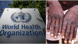 World Health Organisation Renames Monkeypox to Mpox as Former Name Seen as Discriminatory Against Africa