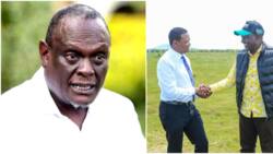 David Murathe Asema Alfred Mutua Hana Wafuasi Ukambani, Hatamfaidi Chochote DP Ruto