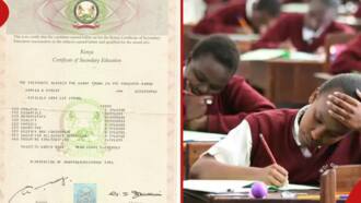 Education CS Ezekiel Machogu Announces New Grading System, Maths Remains Compulsory