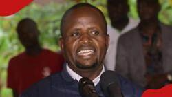 Governor Natembeya Hilariously Passes Strong Message Against GBV: "Tumia Ile Fimbo Ndogo"