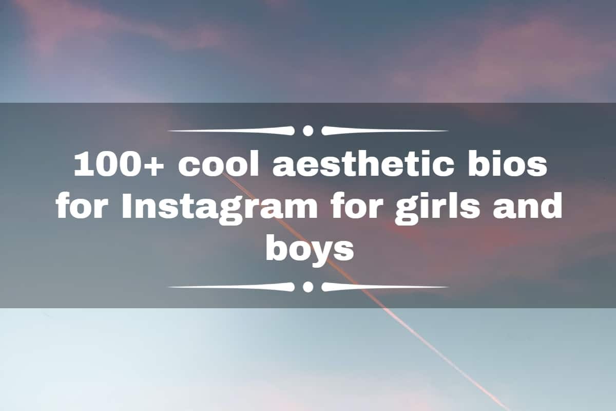 100+ cool aesthetic bios for Instagram for girls and boys - SESO OPEN