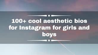100+ cool aesthetic bios for Instagram for girls and boys