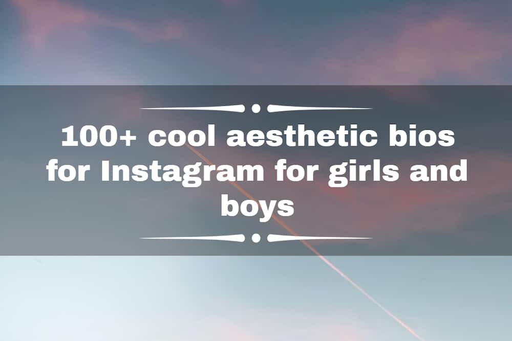 aesthetic bios for Instagram