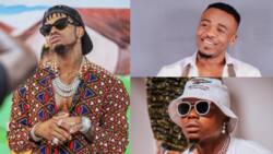 Singer Diamond Platnumz stirs Ali Kiba beef after laughing at his cheap concert