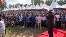 Raila Odinga Mediates Between Peter Salasya and Governor Barasa Days after Near Fist-Fight