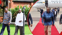 Uhuru Kenyatta Meets Museveni Days after Fying to DRC Using Ugandan Airline