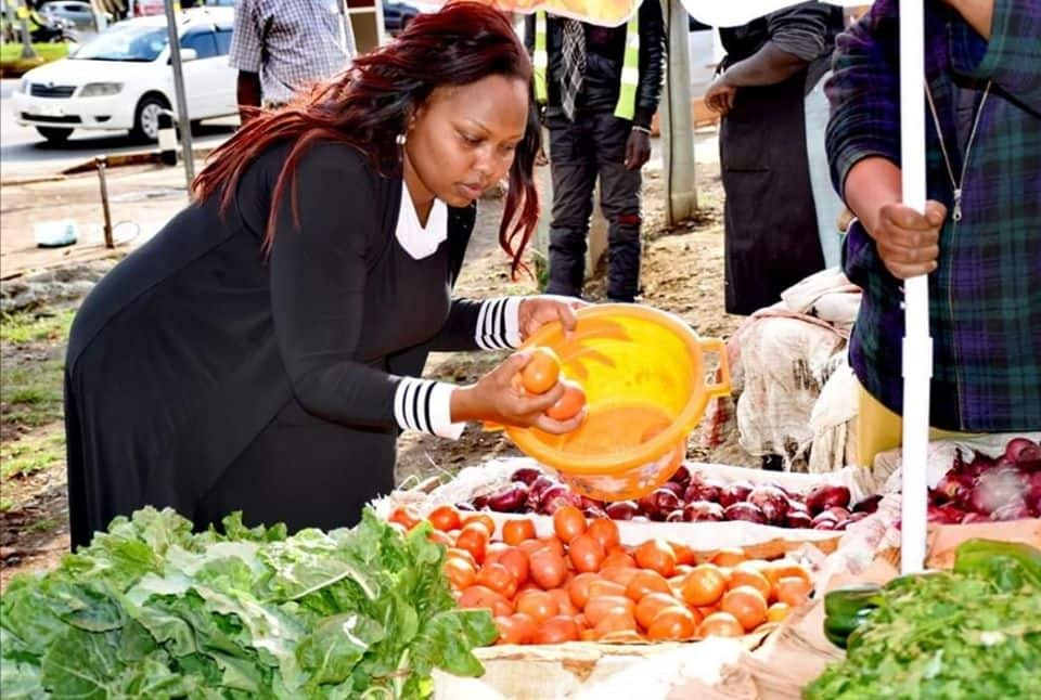 Seneta wa Jubilee alalama kuhusu bei ghali ya nyanya