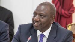 William Ruto to Officiate KRA's Taxpayers Award, Celebrate Tax-Compliant Kenyan Businesses