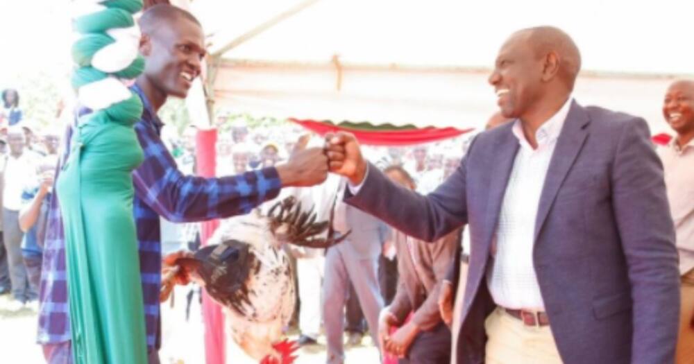 DP Ruto aahisi kumsomesha mwanafuzni wa Egertona aliyemzawadi kuku