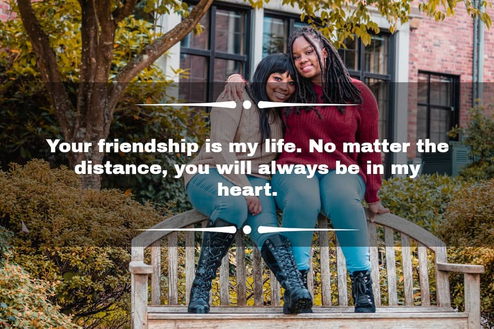 120 Friendship Quotes Your Best Friend Will Love