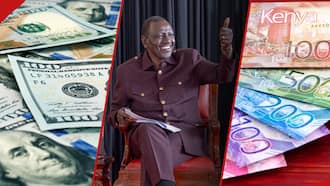 Kenya Shilling Records Greater Gains Against US Dollar in Fresh Appreciation Rally