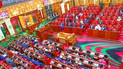 Finance Bill Protests: MPs Return to Parliament to Approve Deployment of KDF to Thwart More Demos