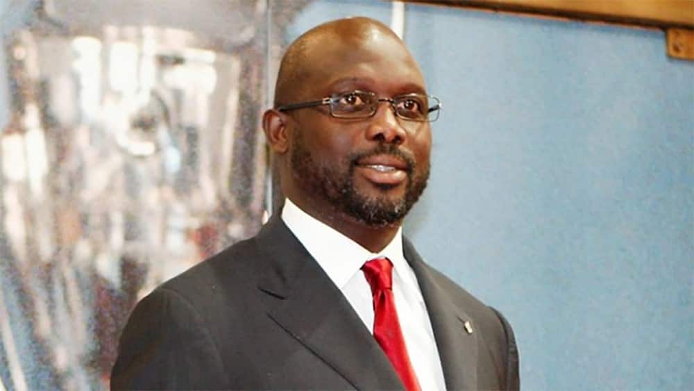 Snakes force Liberian President George Weah to abandon his office