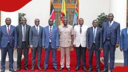 Defiant ODM Rebel MPs Meet William Ruto Days after Expulsion from Party