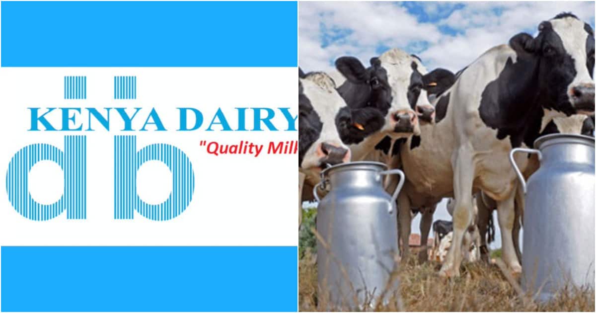 Kenya Dairy Board refutes claims draft Dairy regulations aim to create ...