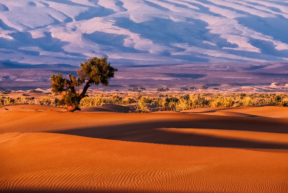 deserts in Africa