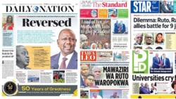 Kenyan Newspapers Review, November 8: UDA-Allied MP Discloses Plot to Extend Presidential Term Limit
