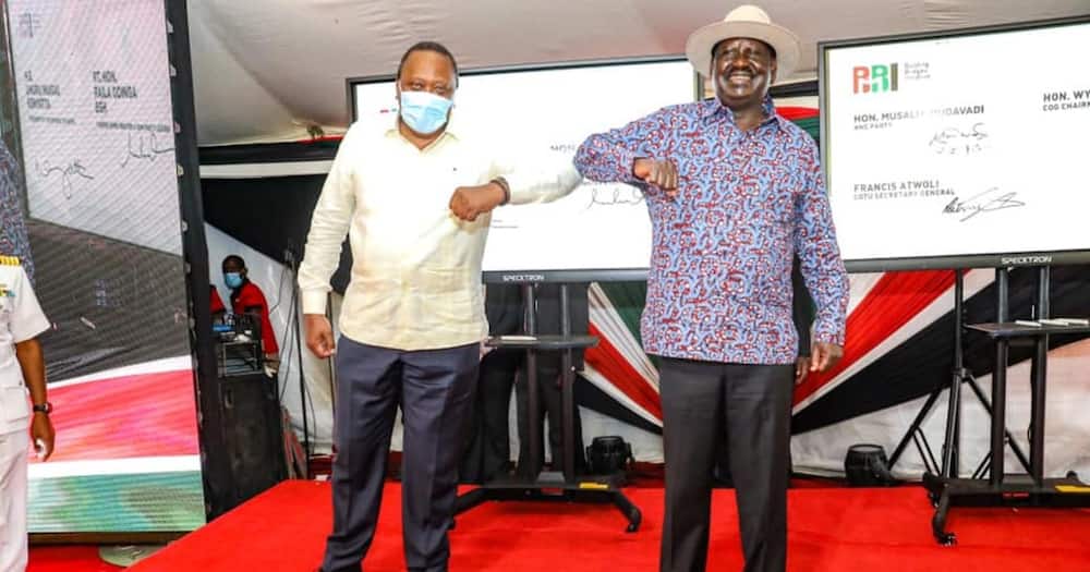 BBI: William Ruto says he is not easily cornered, insists on uncontested referendum