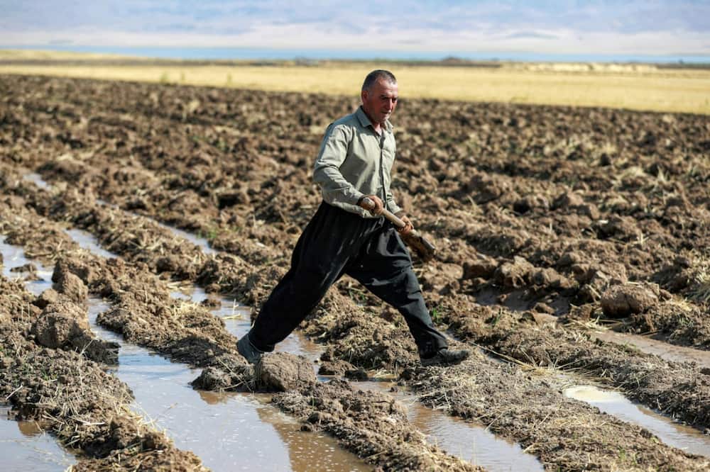 A Kurdish farmer digs with a shovel irrigation ditches for water supplied from a well, in the Rania district near the Dukan Dam