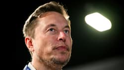 With outburst, Musk puts X's survival in the balance