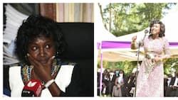 Gladys Shollei: Supreme Court Rules Former Judiciary Registrar Was Unfairly Sacked in 2013
