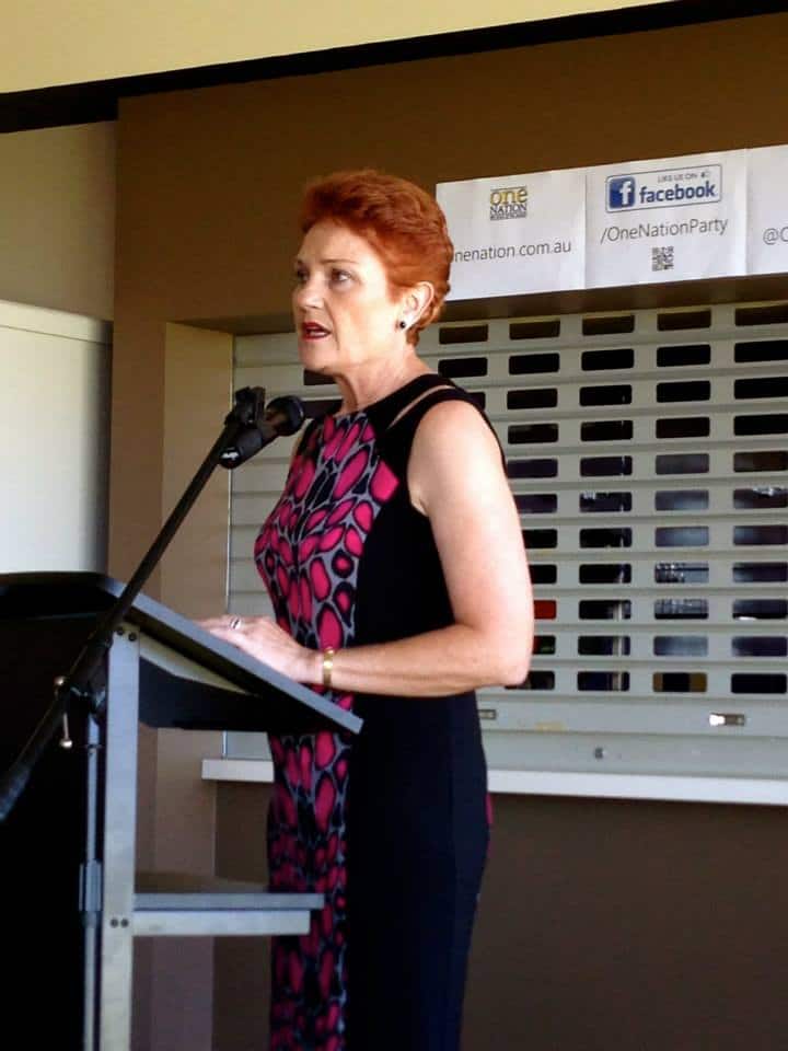 Pauline Hanson: Australian politician under fire for calling George Floyd criminal, dangerous thug