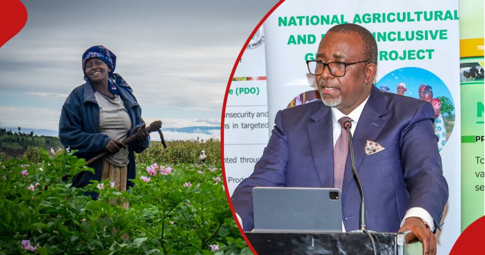Mithika Linturi is the CS for Agriculture in Kenya.