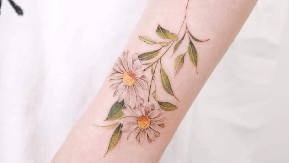 Daisy on the arm
