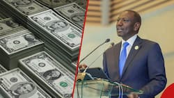 Kenya Shilling Holds Steady Against US Dollar: CBK Cautious Not to Upset Balance