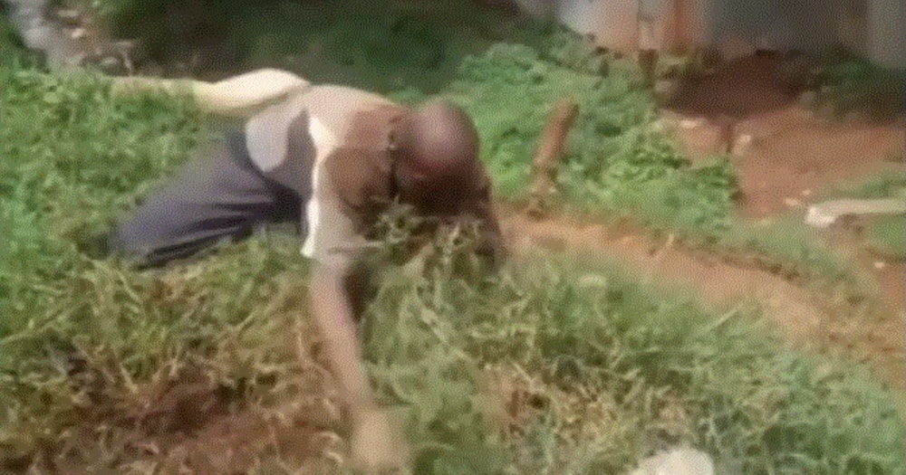 Man eating grass. Photo: Nyasi wa Manyasi.