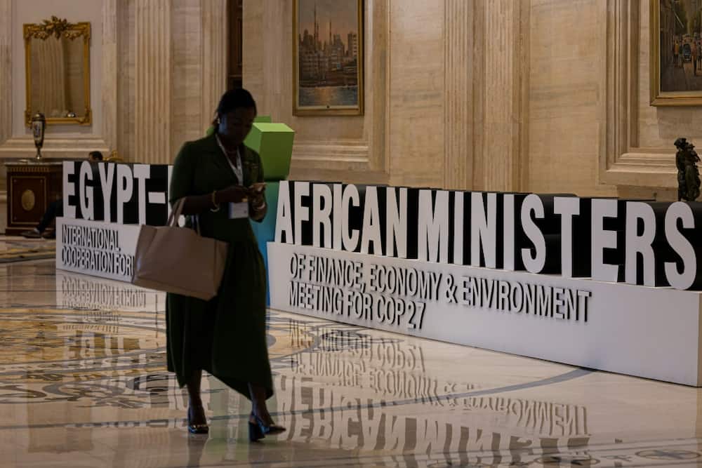 The African Ministers of Finance, Economy and Environment Meeting for the COP27 climate summit has been held at the New Administrative Capital east of Cairo