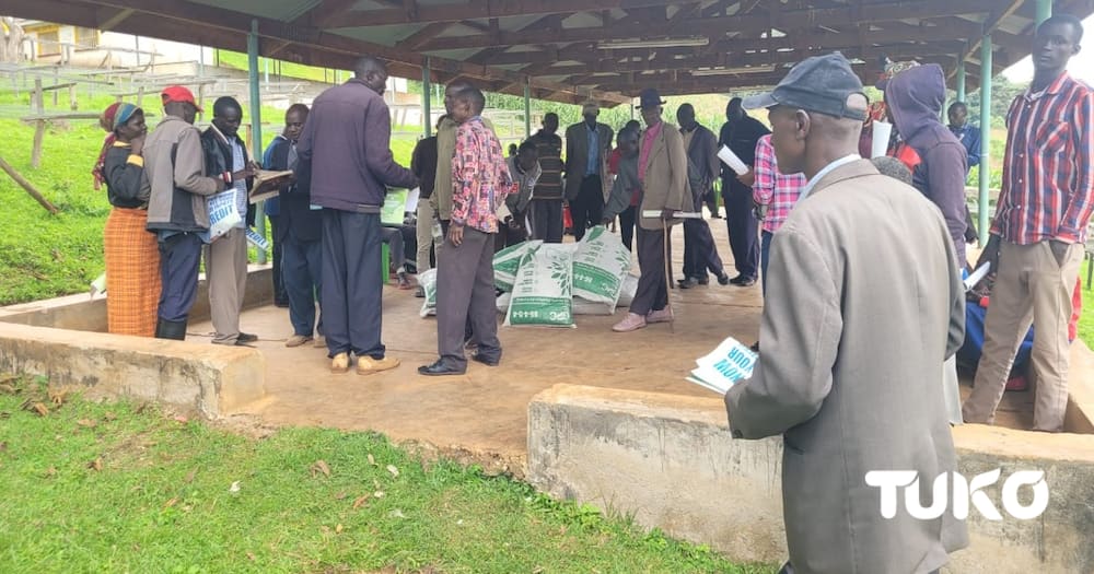 Mt Elgon farmers